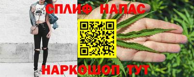 крисы Краснознаменск