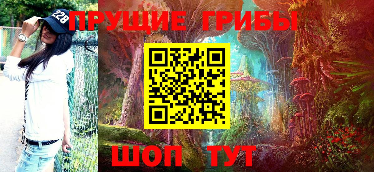 Галлюциногенные грибы прущие грибы Кашира