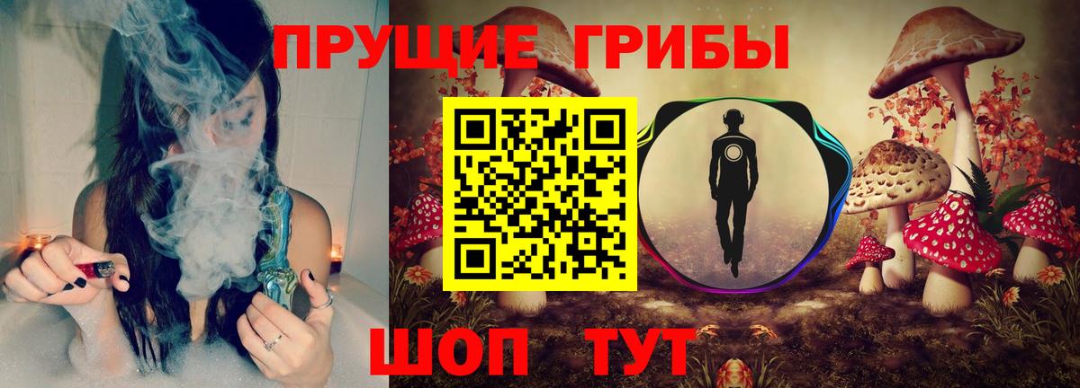 Псилоцибиновые грибы мицелий  Галлюциногенные грибы ЛСД  Кашира  Вход с VPN 